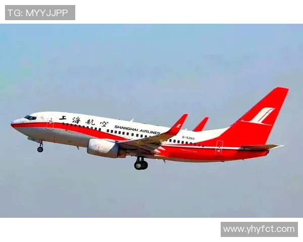 上海羽毛球队逆袭之路揭秘:从低谷到巅峰的奋斗历程与荣耀时刻 上海羽毛球队逆袭之路揭秘:从低谷到巅峰的奋斗历程与荣耀时刻