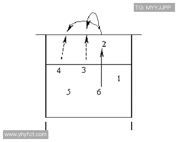 成都排球队在冠军赛中的耐力表现分析与战术探讨 成都排球队在冠军赛中的耐力表现分析与战术探讨
