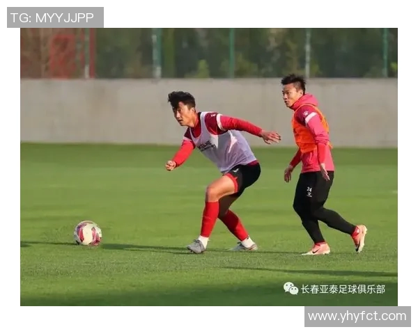 成都网球队反击战术解析与实战应用探讨