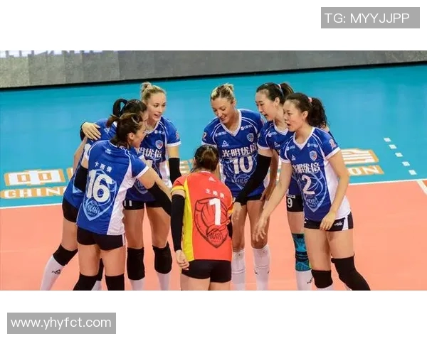 上海排球队的实力分析与未来发展展望探讨