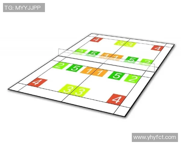 武汉羽毛球队战术表现深度分析与数据解读探讨 武汉羽毛球队战术表现深度分析与数据解读探讨