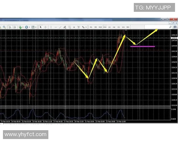 科隆与基尔精彩对决直播全程回顾与分析